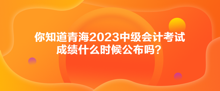 你知道青海2023中級會計考試成績什么時候公布嗎？