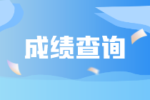 注冊會計師成績查詢在幾月份？