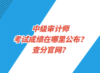 中級(jí)審計(jì)師考試成績在哪里公布？查分官網(wǎng)？