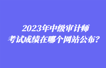 2023年中級審計師考試成績在哪個網站公布？