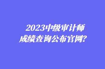 2023中級審計師成績查詢公布官網？