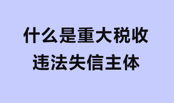 什么是重大稅收違法失信主體？