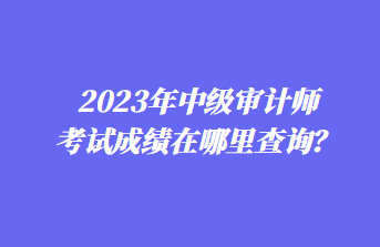2023年中級審計師考試成績在哪里查詢？
