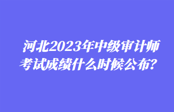 河北2023年中級(jí)審計(jì)師考試成績什么時(shí)候公布？