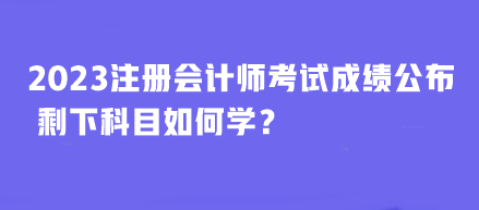 2023年注冊會計師考試成績公布 剩下科目如何學？