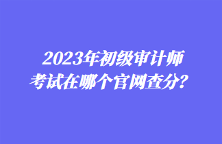 2023年初級審計師考試在哪個官網查分？
