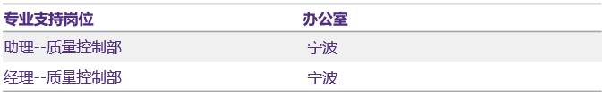 專業支持業務線