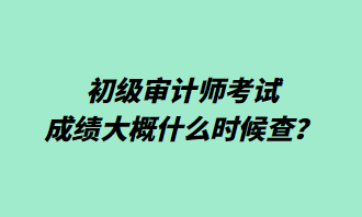 初級審計師考試成績大概什么時候查？