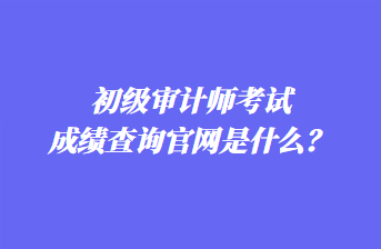 初級審計師考試成績查詢官網是什么？