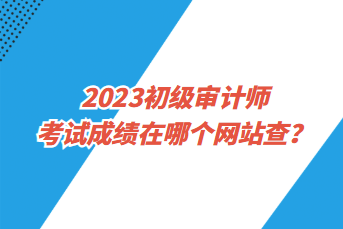 2023初級審計師考試成績在哪個網站查？
