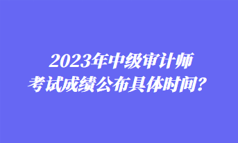 2023年中級(jí)審計(jì)師考試成績(jī)公布具體時(shí)間？