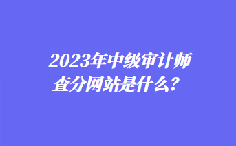 2023年中級審計師查分網站是什么？