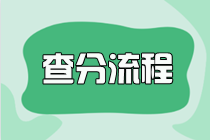 注冊會計師考試成績發布：查分準備工作指南