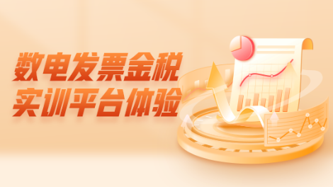 數電發票金稅實訓平臺