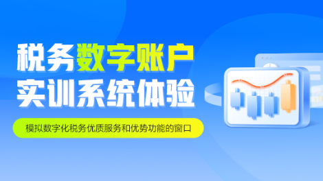 稅務數字賬戶實訓系統