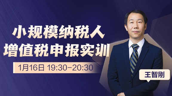 小規模納稅人增值稅申報，全程手把手指導
