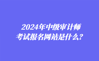 2024年中級審計師考試報名網站是什么？