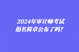 2024年審計師考試報名簡章公布了嗎？