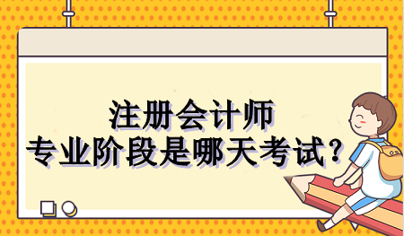 注冊會計師專業階段是哪天考試？