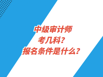 中級審計師考幾科？報名條件是什么？