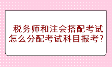 稅務師和注會搭配考試怎么分配考試科目進行報考？