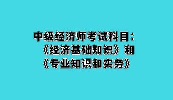 中級經濟師考試科目：《經濟基礎知識》和《專業知識和實務》