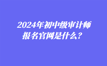 2024年初中級審計師報名官網是什么？