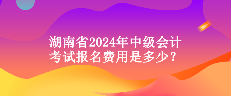 湖南省2024年中級會計考試報名費(fèi)用是多少？