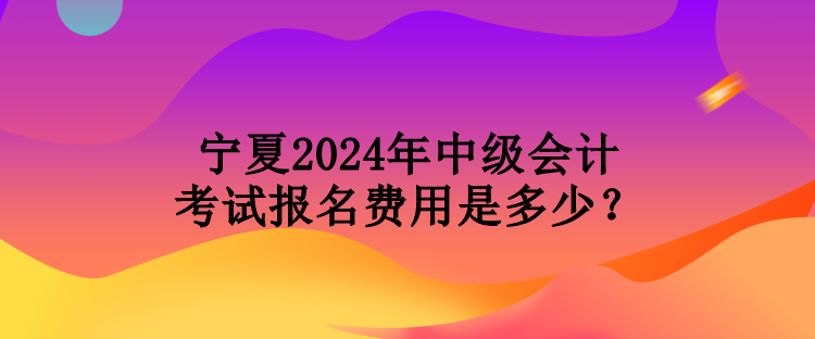 寧夏2024年中級會(huì)計(jì)考試報(bào)名費(fèi)用是多少？