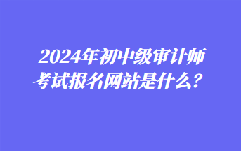 2024年初中級審計師考試報名網站是什么？
