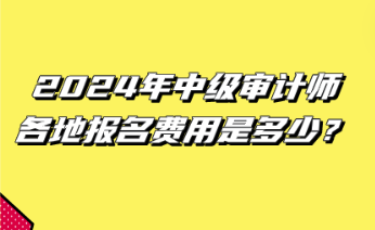 2024年中級審計師各地報名費用是多少？
