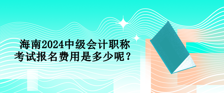 海南2024中級會計職稱考試報名費用是多少呢？