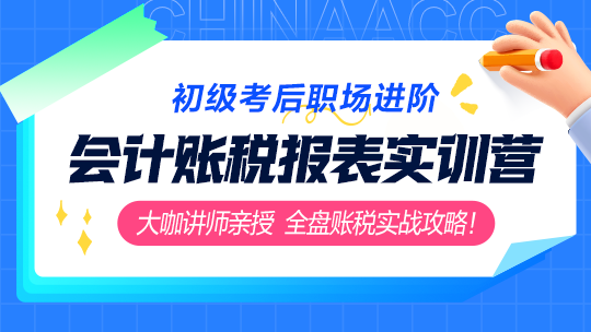 初級會計賬稅實戰飛越：賬稅報表實訓營