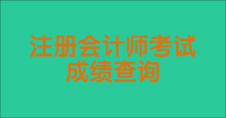 2024年CPA考試成績公布時間是哪天？成績查詢入口在哪？