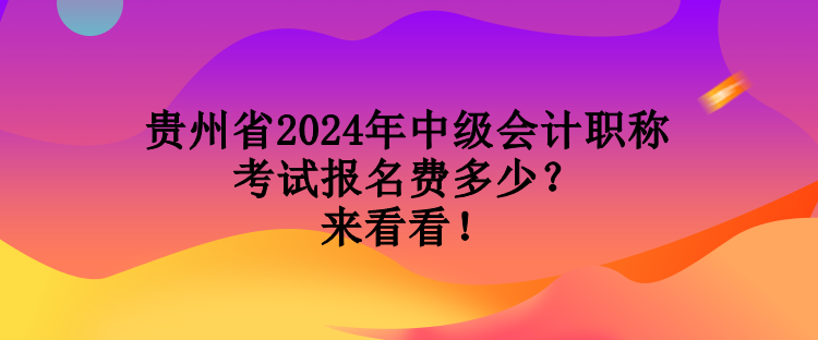 貴州省2024年中級會計職稱考試報名費多少？來看看！