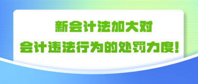 新會(huì)計(jì)法加大對(duì)會(huì)計(jì)違法行為的處罰力度！！！