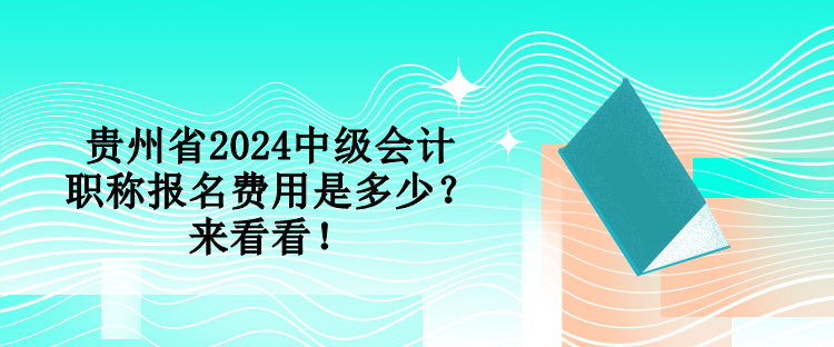 貴州省2024中級會計職稱報名費用是多少？來看看！