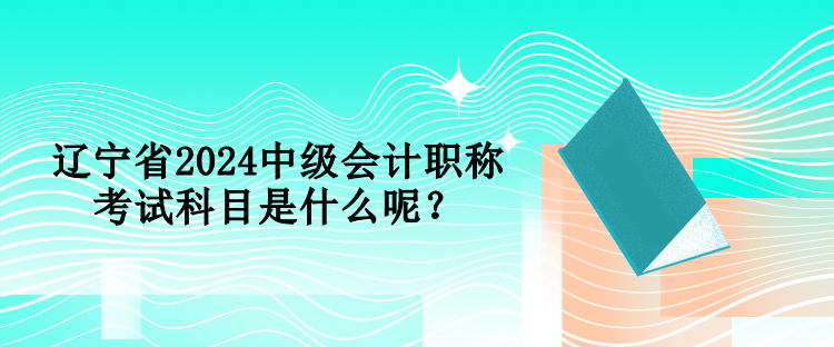 遼寧省2024中級會計職稱考試科目是什么呢？