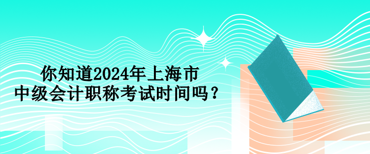 你知道2024年上海市中級(jí)會(huì)計(jì)職稱考試時(shí)間嗎？