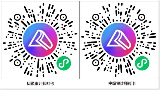審計師基礎打卡-horz